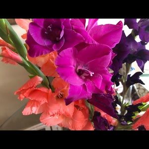 Meet your Posher, Laura